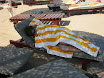sharm110423_26.jpg