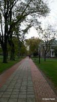 2011-10-27_16-10-27_841.jpg 2011-10-27_16-10-27_841.jpg