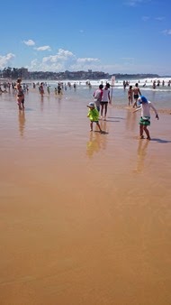 DSC_0684 DSC_0684