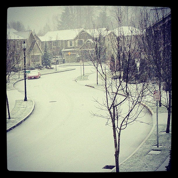 [more%2520snow%2520pictures%255B4%255D.jpg]