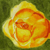 DANISOVCE0051.jpg