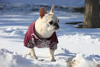 Too Much Bad Weather