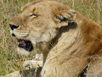 Manyara Nationalpark
