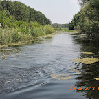 DSCN8317.JPG