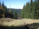 PA090226.JPG