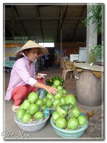 Về miền Tây, say đặc sản, Việt Nam