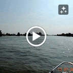 DSCN2486-MOTION.gif