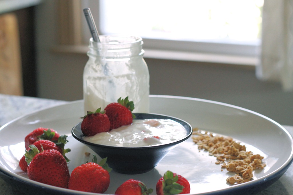 [homemade_yogurt_with_granola%255B5%255D.jpg]