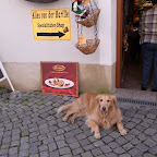 RIMG0601.JPG