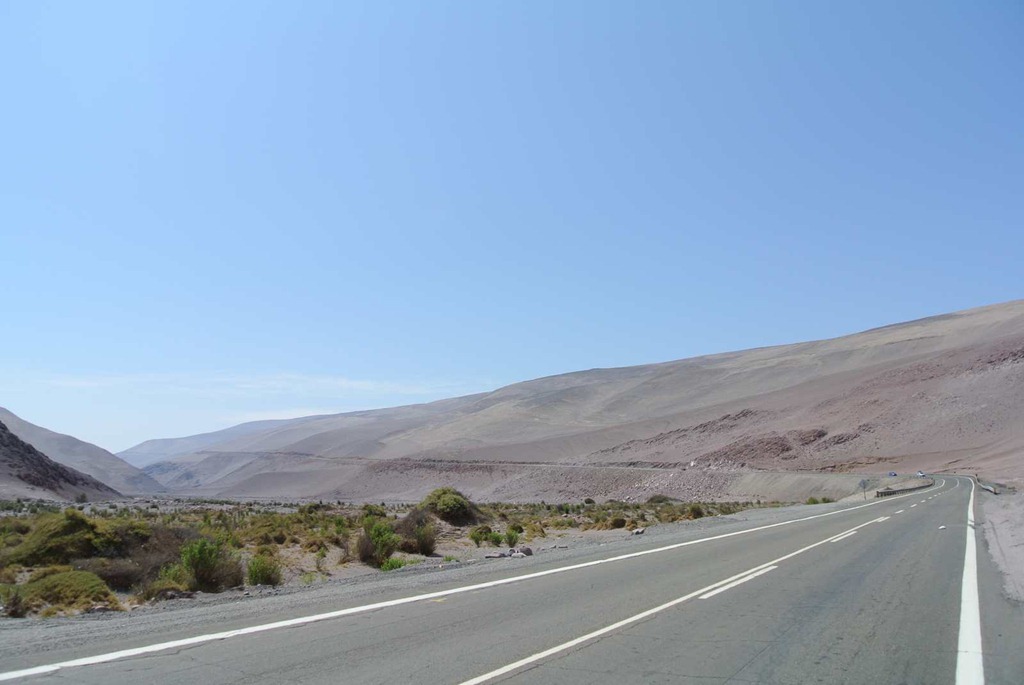 [DSC_74203.jpg]