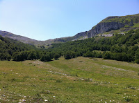 IMG_1455.JPG