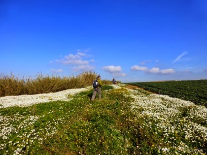 [P1060315%255B4%255D.jpg]