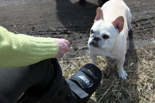 Susie, when will you be able to chase us through the paddocks again?  I miss our little games.