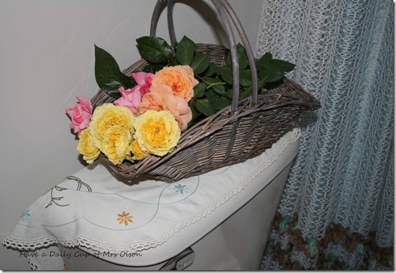 IMG_1375 IMG_1375