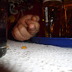 P1000869.JPG