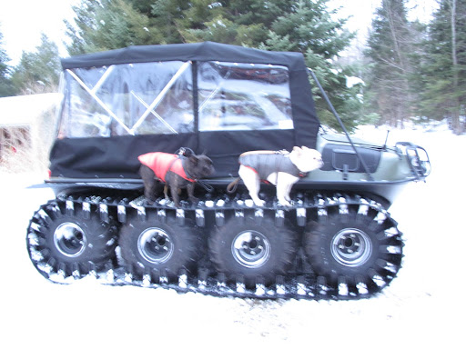 They had a very cool eight-wheeled vehicle called an Argo.  www.argoatv.com  Franny, don't you just love the enormous treads on this thing?  I bet we could travel just about anywhere.