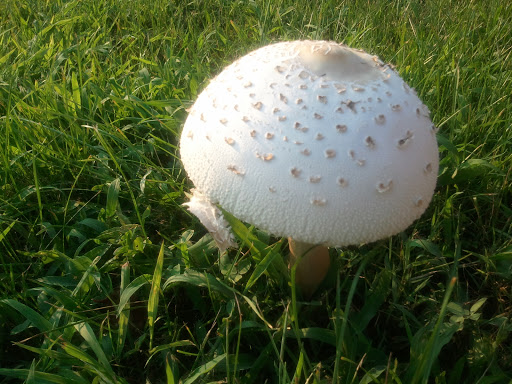 2011-07-27 19.24.58.jpg