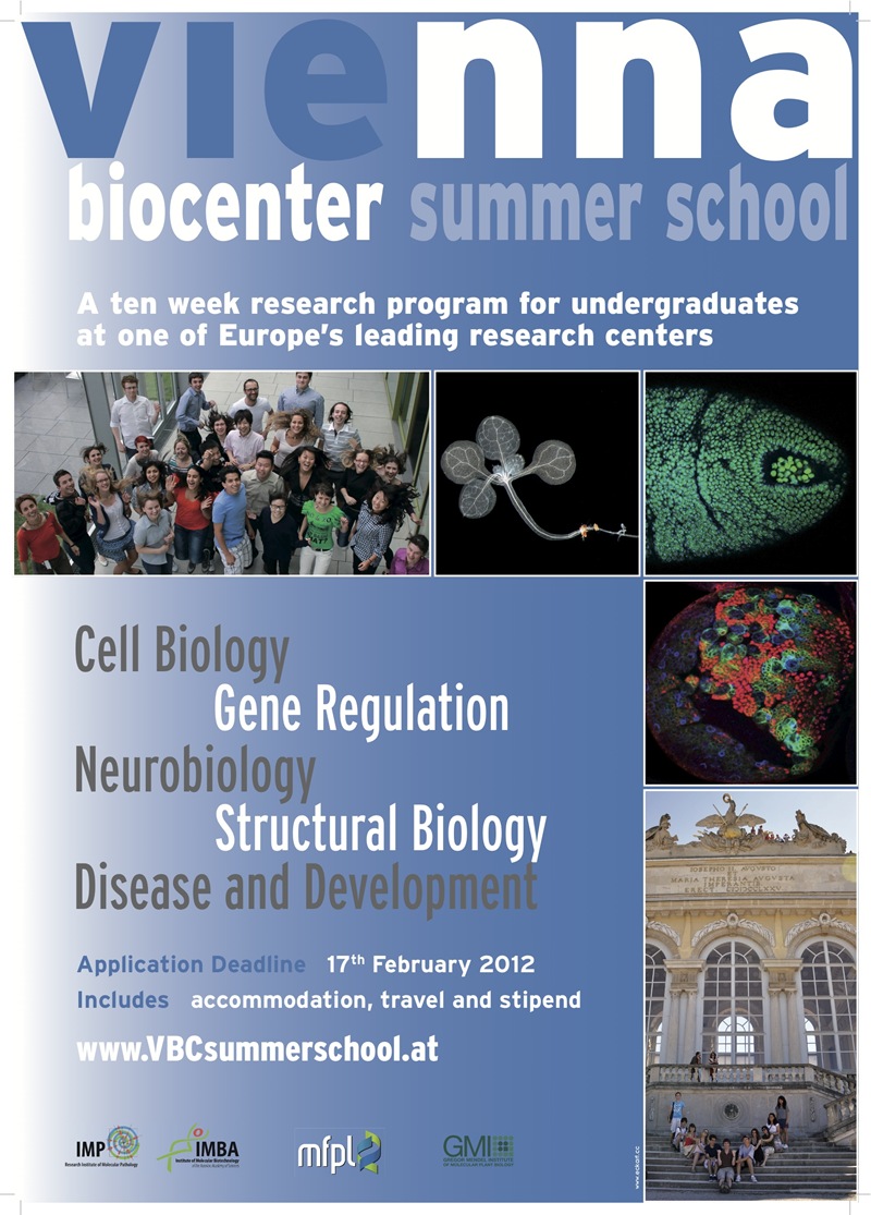 [vienna-summer%255B4%255D.jpg]