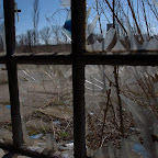DSC_0099.jpg DSC_0099.jpg