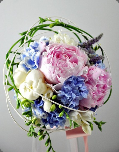 solomon bloemen27