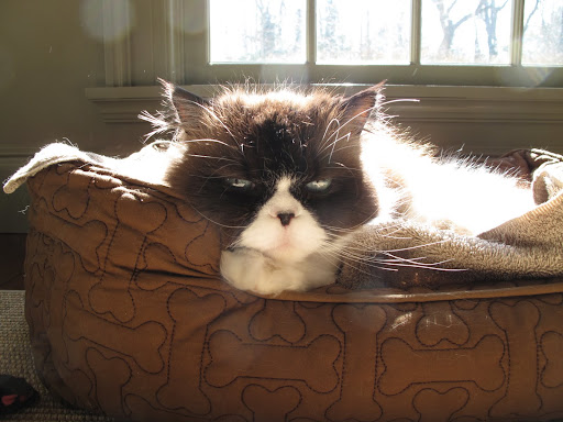 That's right, Sharkey.  Have you even looked outside recently?