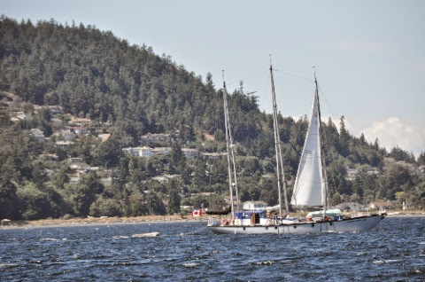 DSC_0276_2.jpg DSC 0276 2