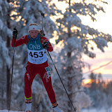 Hanne Tingelstad