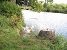 IMG_2804.JPG
