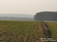 dsc07069.jpg