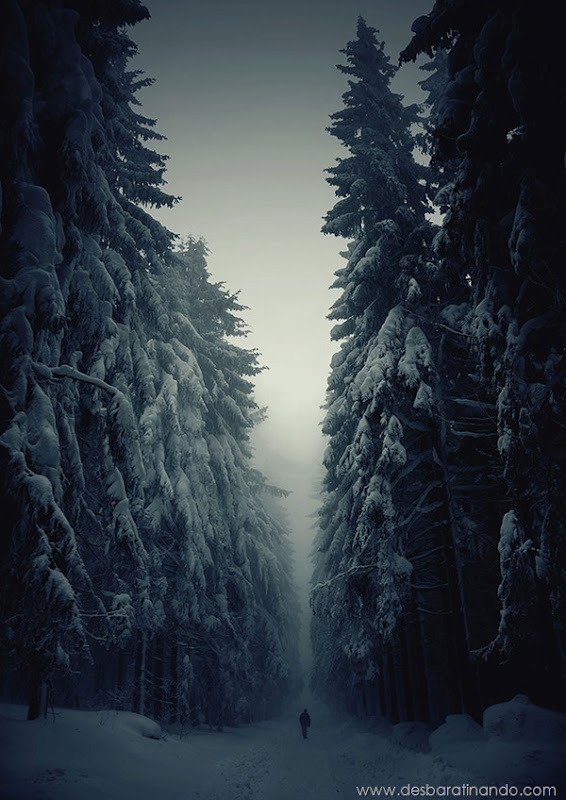 paisagens-de-inverno-winter-landscapes-desbaratinando (1) paisagens-de-inverno-winter-landscapes-desbaratinando (1)