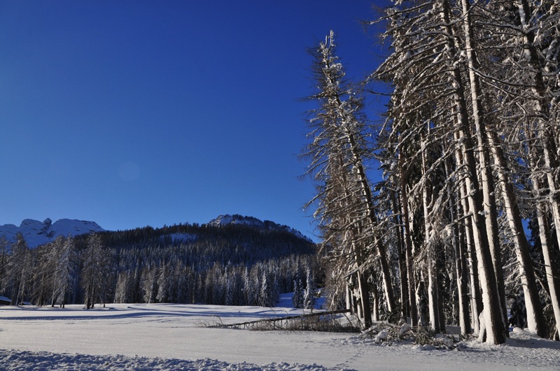 DSC_5984.JPG DSC 5984