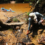 写真4　Binyo川の泥炭湿地林内の河川 / Photo4 A stream runs inside the peat land area of the forest along Binyo River.