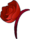 rosa rosa