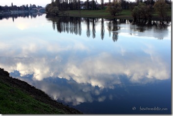 IMG_3230_watermark IMG_3230_watermark