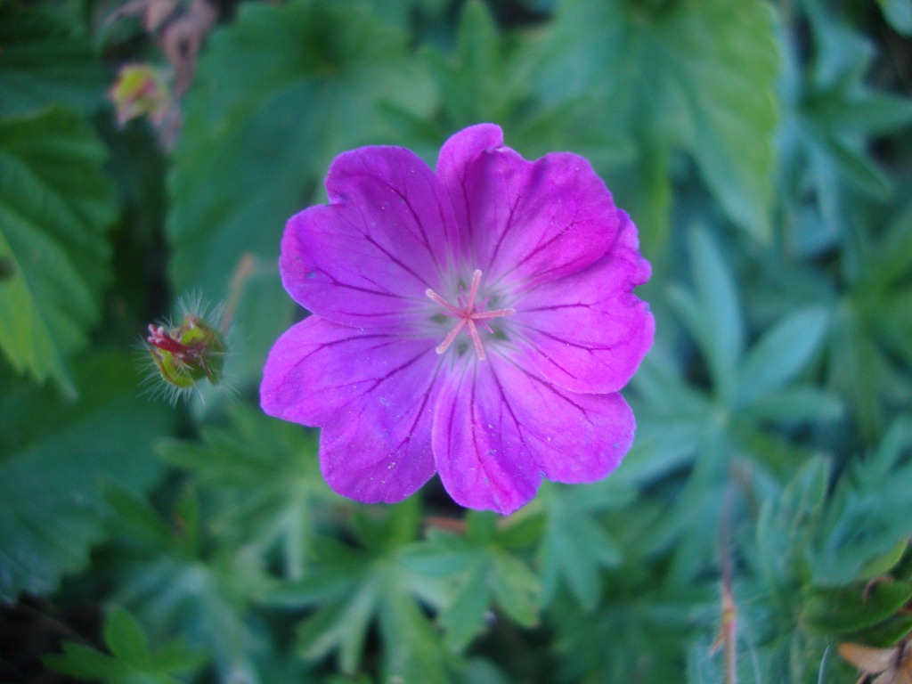 [DSC04177%255B3%255D.jpg]