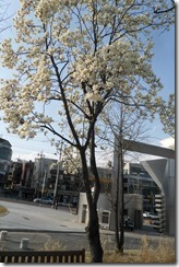 Korea set 7 002 Korea set 7 002