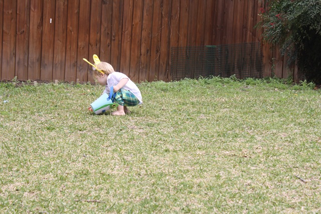 [IMG_8079%255B4%255D.jpg]