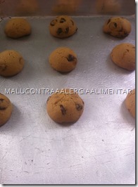 IMG_1958 IMG_1958