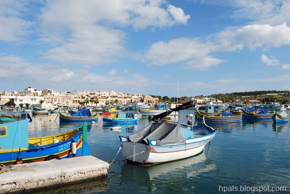 DSC_0994 DSC_0994