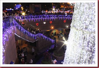IMG_4442 IMG_4442