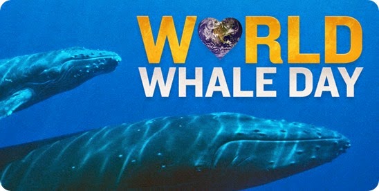 world whale day