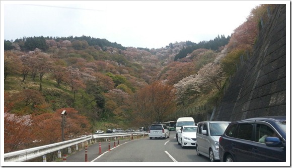 2013OsakaTrip_Day7_12
