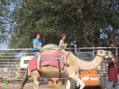 IMG_8735 IMG_8735