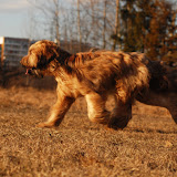 Abi - DSC_0217.jpg
