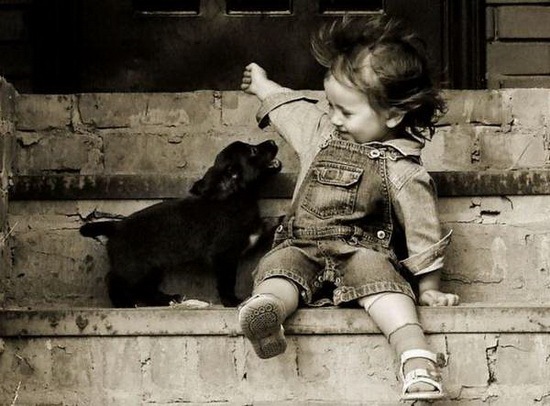 animals-and-humans_19