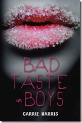 Figmentreview-Bad-Taste-in-Boys