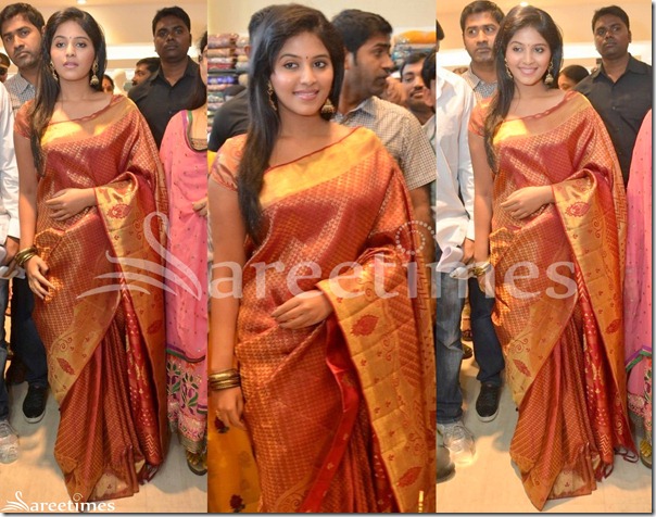 Anjali_Traditional_Silk_Saree