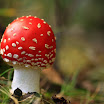 2009_10_13_IMG_9999_8.JPG