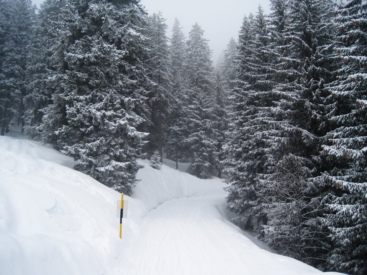 Sledding run