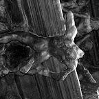 20100401_078.JPG